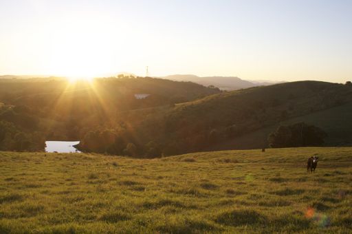 On est allé voir le coucher du soleil depuis une colline dans la ferme. C'était très romantique...